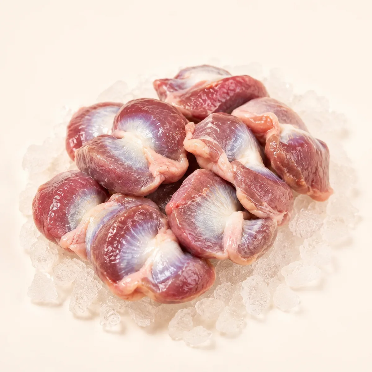 Chicken Gizzard